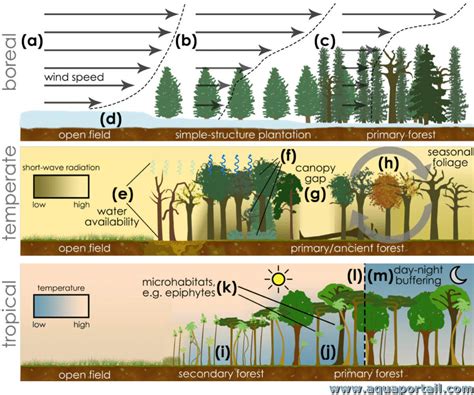 Microclimate 